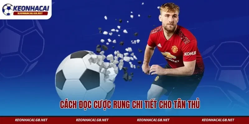 Cách đọc cược rung chi tiết cho tân thủ Cách đọc cược rung chi tiết cho tân thủ