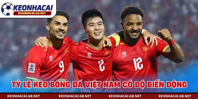 Tỷ lệ kèo bóng đá Việt Nam có độ biến động mạnh